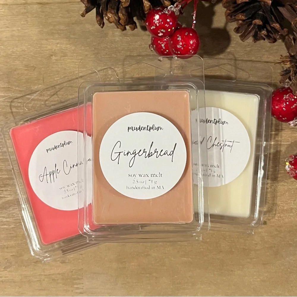 Prudentplum Christmas Forest Soy Wax Melt - Light Green